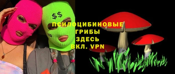 MDMA Бородино