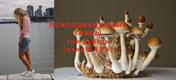амфетамин Богородск