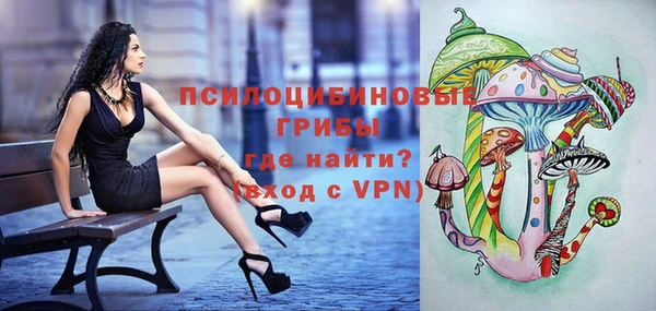 первитин Богданович