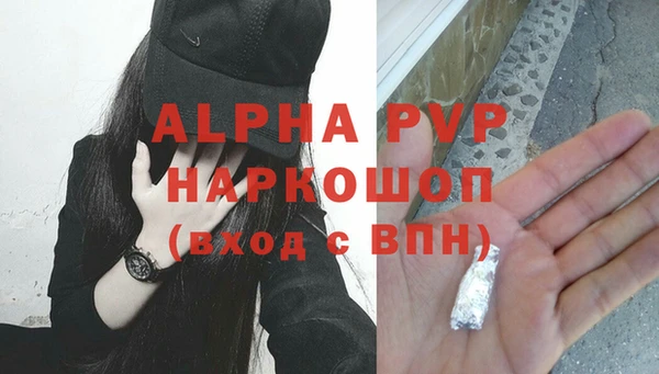 первитин Богданович