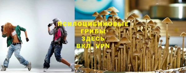 MDMA Бородино
