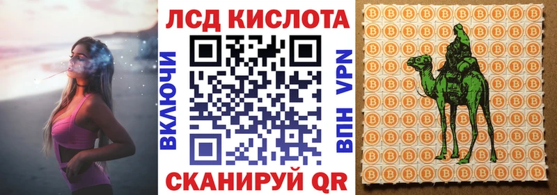 Марки 25I-NBOMe 1500мкг  дарнет шоп  Кемь 